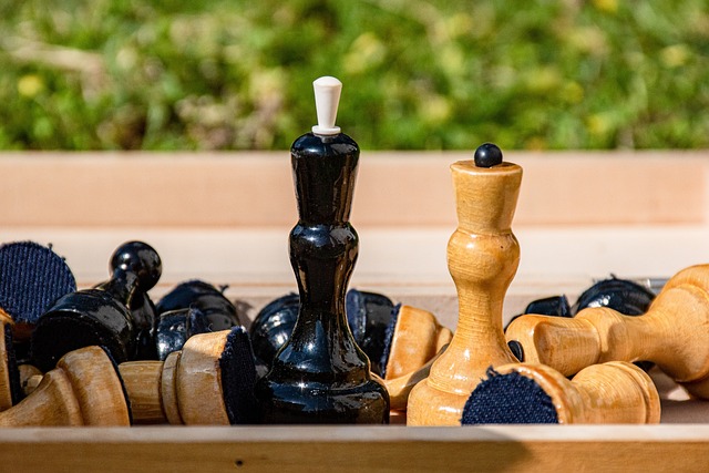 欧冠 联赛阶段第6轮，拜仁3比1葡萄牙体育