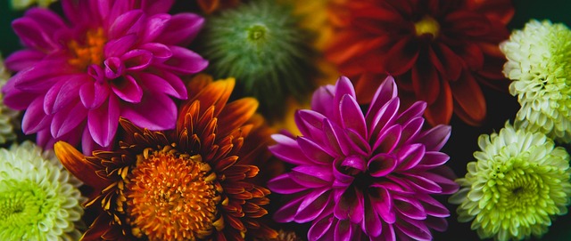 吉林男篮88-85逆转深圳晋级CBA杯八强