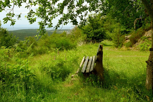 今晚世界杯抽签！阿根廷受保护，第2档有个大礼包，死亡之组浮现